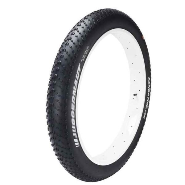 Kenda Bike Tire
