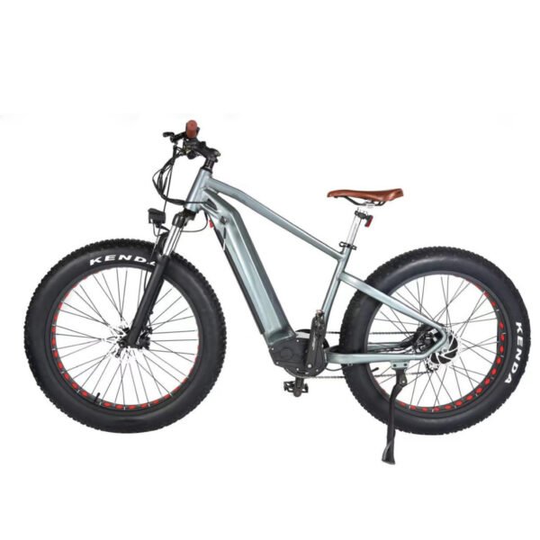 fat tire ebike