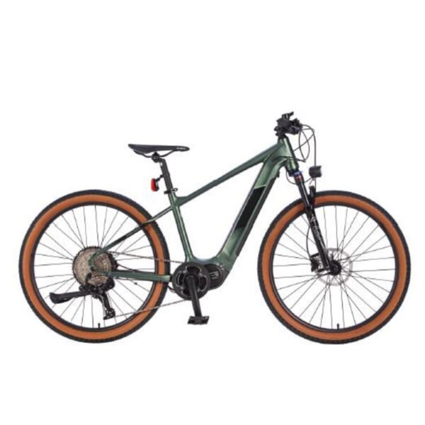 E-MTB Electric Bike